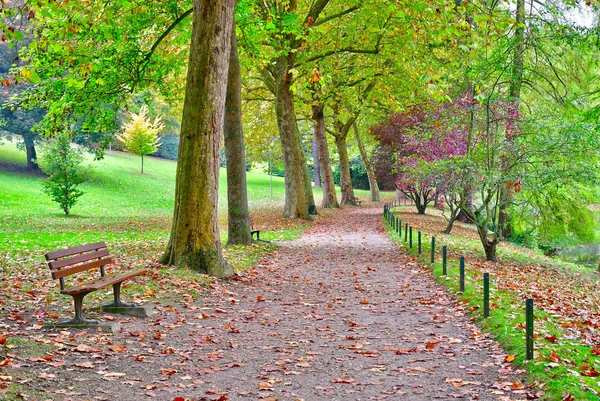 프와 시; 프랑스-10 월 26 2016: 그림 같은 Messonier 공원 — 스톡 사진
