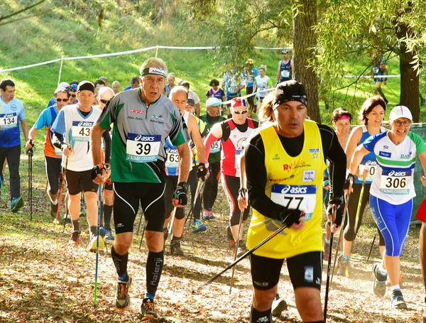 Verneuil sur Seine, França - 22 de outubro de 2016: segundo Campeão — Fotografia de Stock