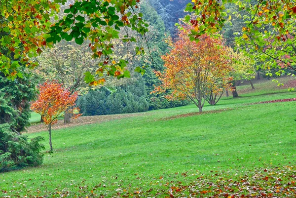 프와 시; 프랑스-10 월 26 2016: 그림 같은 Messonier 공원 — 스톡 사진