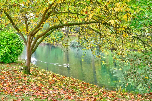 Poissy; Francia - 26 de octubre de 2016: pintoresco parque Messonier — Foto de Stock