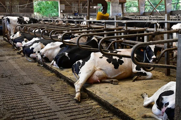 Thiverval Grignon, Francia - 13 de agosto de 2016: Agroparistech farm —  Fotos de Stock