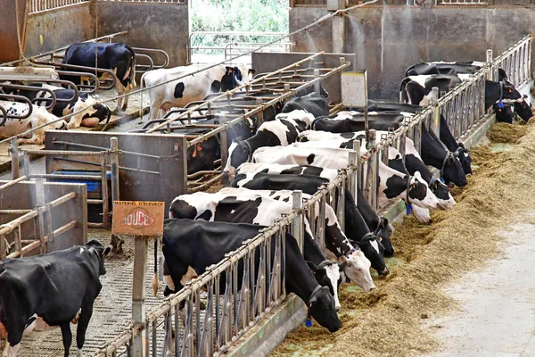 Thiverval Grignon, França - 13 de agosto de 2016: Fazenda Agroparistech — Fotografia de Stock