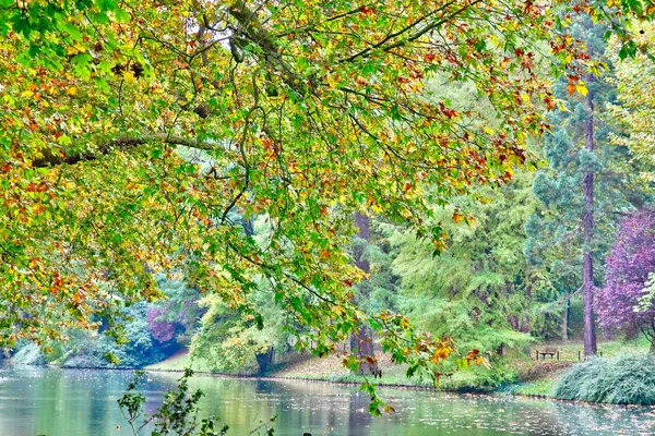 Poissy; Francia - 26 ottobre 2016: pittoresco parco Messonier — Foto Stock