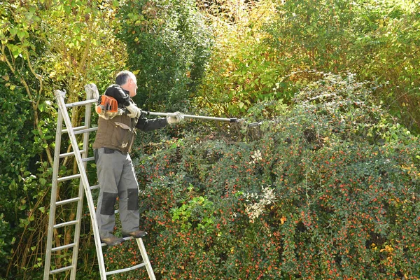 Verneuil sur Seine, France - november 3 2016 : pruner in agarden — Φωτογραφία Αρχείου