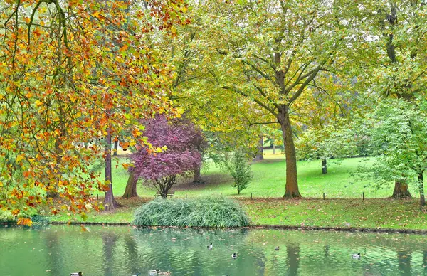 Poissy; France - october 26 2016 : picturesque Messonier park — Stock Photo, Image