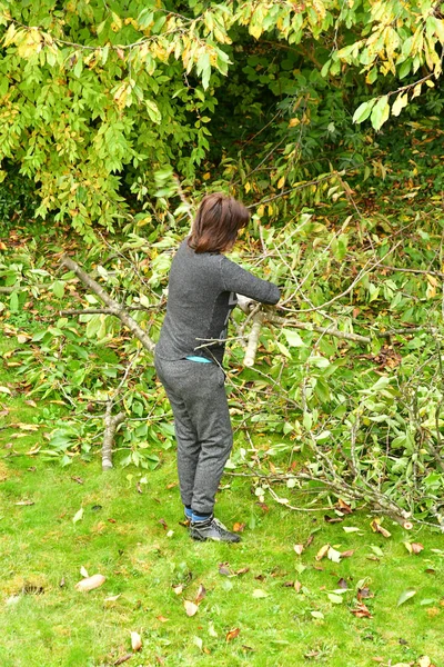 Verneuil sur seine, Frankreich - 3. November 2016: Gartenschneider in agarden — Stockfoto