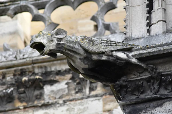 Mantes la Jolie; France - october 18 2016 : gothic Notre Dame co — Stockfoto