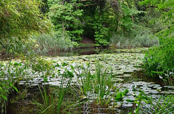 Estrasburgo, França - 24 de julho de 2016: jardim botânico universitário — Fotografia de Stock