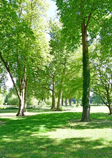 Chantilly, França - 14 de agosto de 2016: castelo de Chantilly — Fotografia de Stock