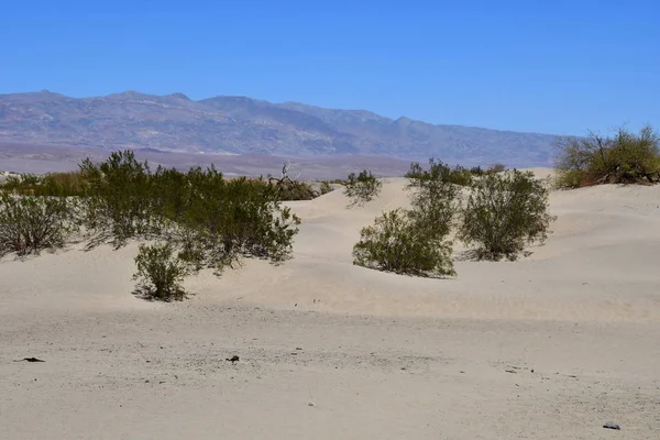 USA - lipiec 2016 11: Death Valley National Park — Zdjęcie stockowe