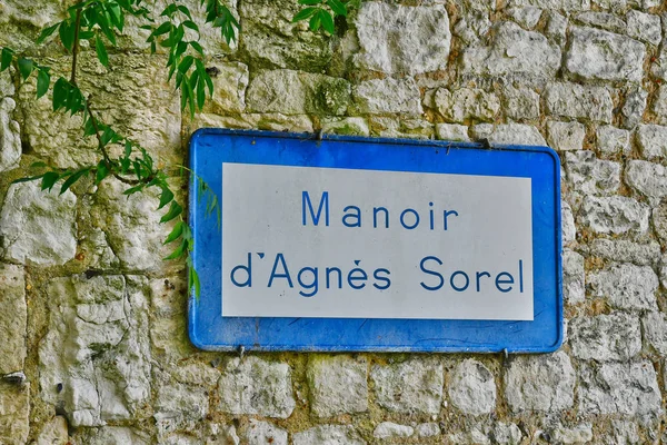 Le Mesnil sous Jumieges, France - june 22 2016 : the Agnes Sorel — 스톡 사진