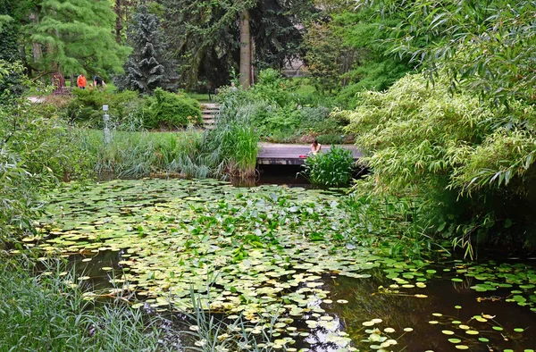 Estrasburgo, Francia - 24 de julio de 2016: jardín botánico de la Universidad — Foto de Stock
