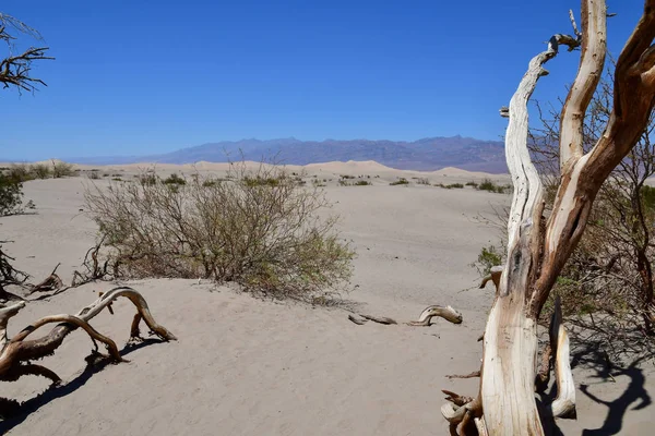 USA - lipiec 2016 11: Death Valley National Park — Zdjęcie stockowe