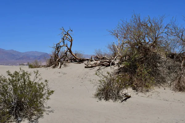 USA - Červenec 11 2016: Death Valley National Park — Stock fotografie