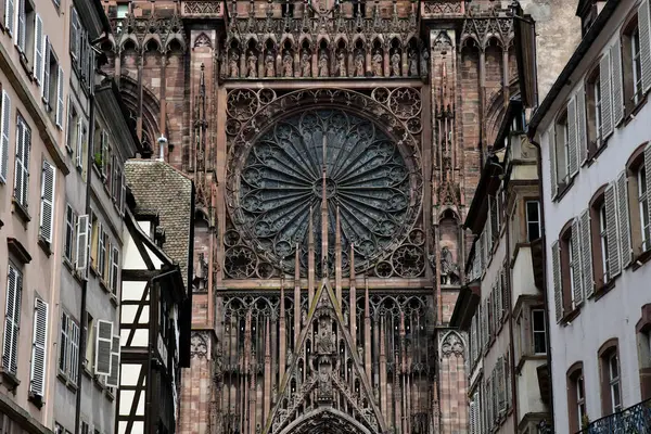 Strasbourg, Fransa - 22 Temmuz 2016: Notre Dame Katedrali — Stok fotoğraf