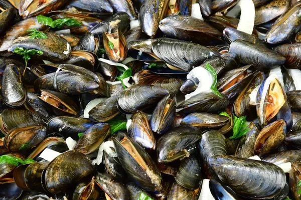 Marinieres mexilhões, uma receita francesa com chalota e vinho branco — Fotografia de Stock