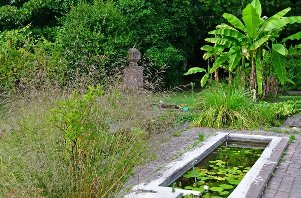 Strasbourg, Frankrike - juli 24 2016: university botaniska trädgård — Stockfoto