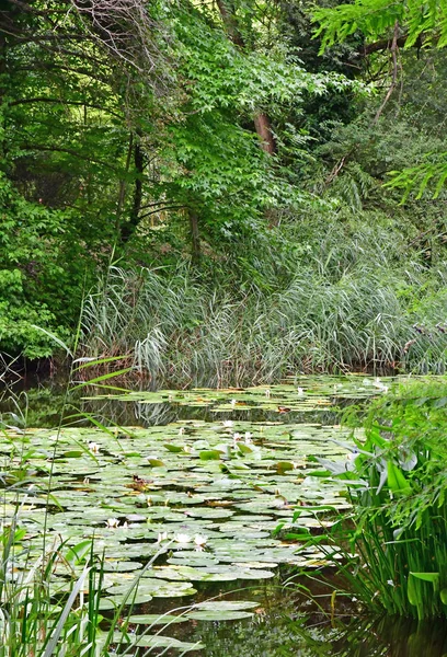 Strasbourg, France - 24 juillet 2016 : jardin botanique universitaire — Photo