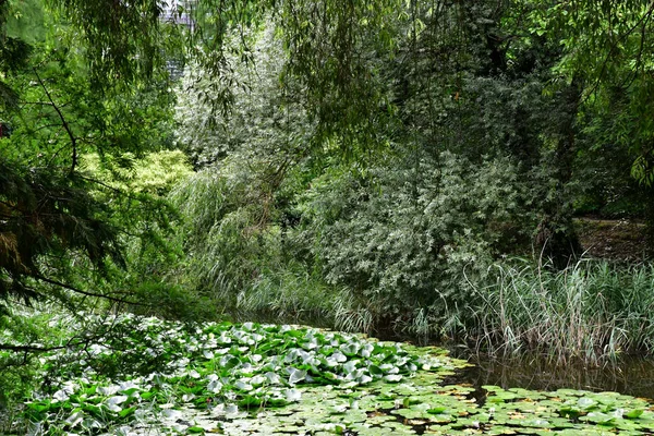Estrasburgo, França - 24 de julho de 2016: jardim botânico da univ — Fotografia de Stock