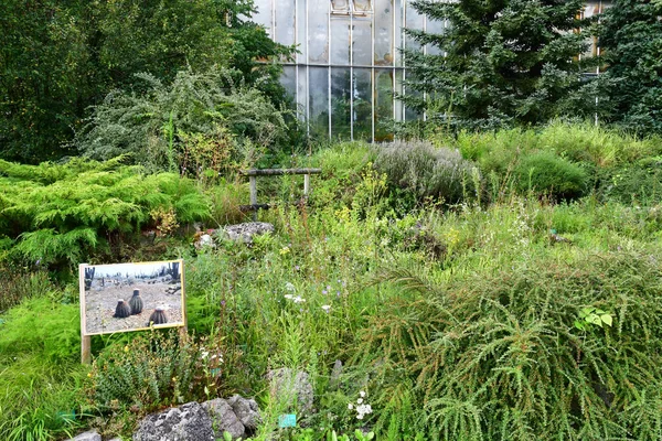 Estrasburgo, Francia - 24 de julio de 2016: jardín botánico universitario —  Fotos de Stock