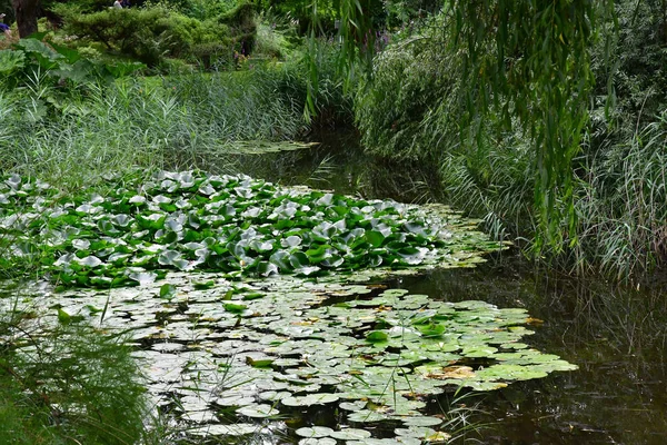 Strasbourg, Frankrike - juli 24 2016: botaniska trädgården av univ — Stockfoto