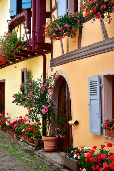 Eguisheim, Francia - 23 luglio 2016: villaggio storico in estate — Foto Stock