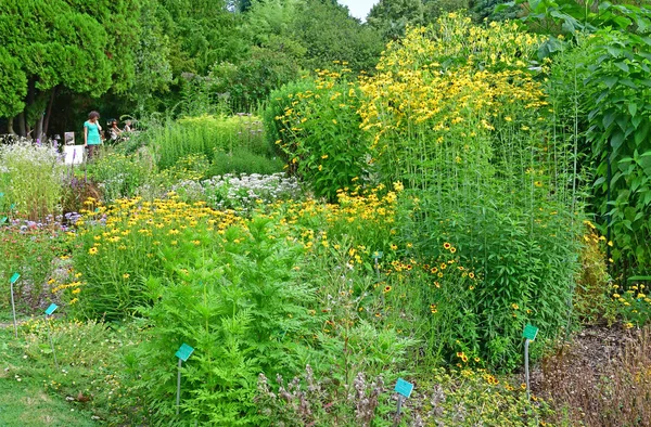 Estrasburgo, Francia - 24 de julio de 2016: jardín botánico universitario — Foto de Stock