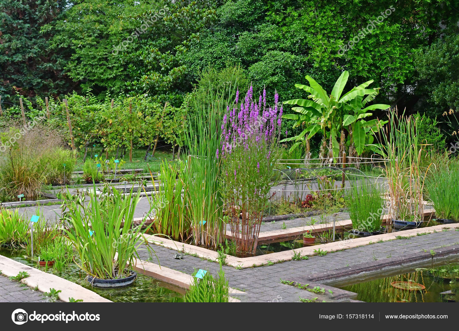 Botanischer Garten Strassburg 1000 Garten Design Ide