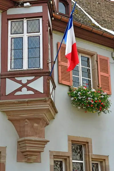 Eguisheim, Fransa - 23 Temmuz 2016: yaz aylarında tarihsel Köyü — Stok fotoğraf