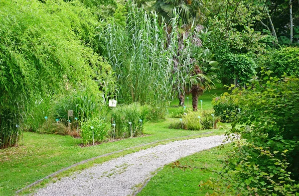 Strasbourg, Frankrike - juli 24 2016: university botaniska trädgård — Stockfoto