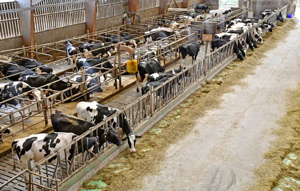 Thiverval Grignon, Francia - 13 de agosto de 2016: Agroparistech farm — Foto de Stock