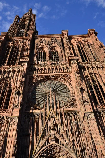 Strasbourg, Fransa - 28 Temmuz 2017: Katedrali — Stok fotoğraf