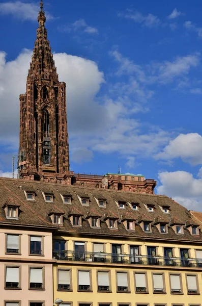 Estrasburgo, França - 28 de julho de 2017: catedral — Fotografia de Stock