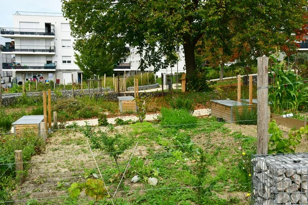 レ ミュロー;フランス - 2017 年 9 月 29 日: 市民農園 — ストック写真