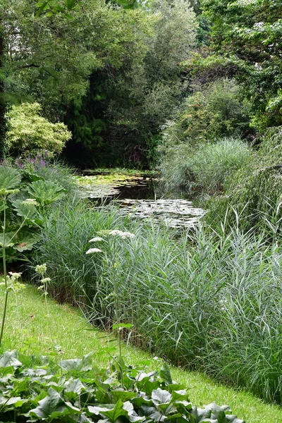 Страсбург Франція Липня 2016 Ботанічний Сад Університету — стокове фото
