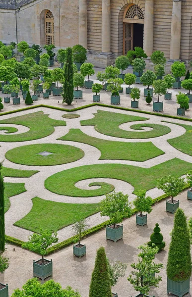 Versailles Frankrijk Juni 2017 Oranjerie Van Het Paleis Van Versailles — Stockfoto