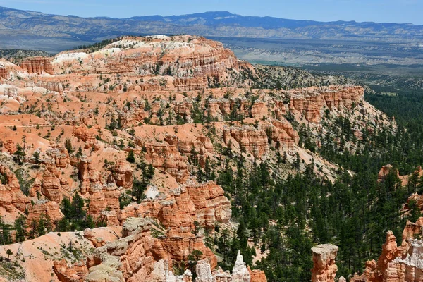 Bryce Canyon Eua Julho 2016 Parque Nacional — Fotografia de Stock