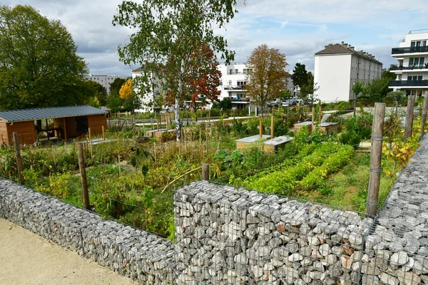 Les Mureaux; France - september 29 2017 : allotment garden — Stock Photo, Image