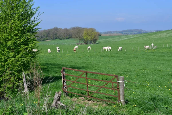 Boury en Vexin, Francia - 3 aprile 2017: pittoresco villaggio in s — Foto Stock