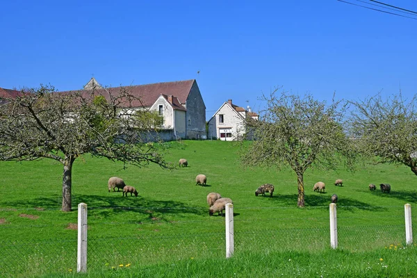 Casa de campo con techo de paja y jardín verde césped en Normandía
