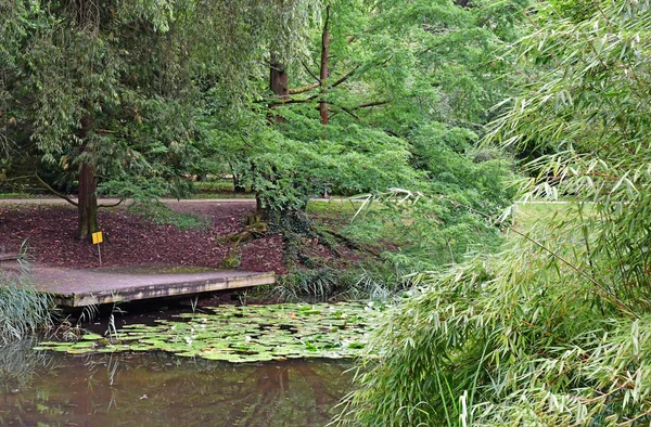 Estrasburgo, Francia - 24 de julio de 2016: jardín botánico de la Universidad — Foto de Stock