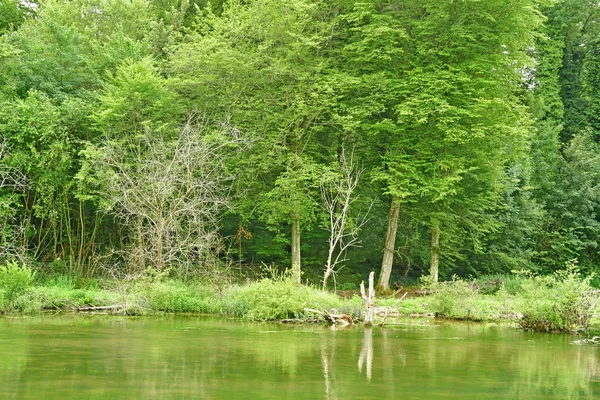 Lisors, Francia - 29 de junio de 2017: paisaje —  Fotos de Stock