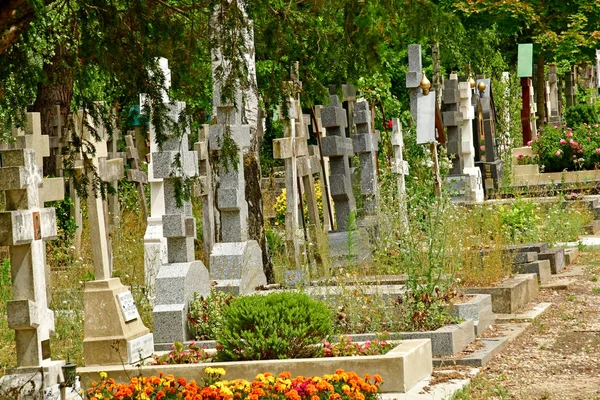 Sainte Genevieve Des Bois Γαλλία Ιουνίου Ρωσικό Νεκροταφείο — Φωτογραφία Αρχείου