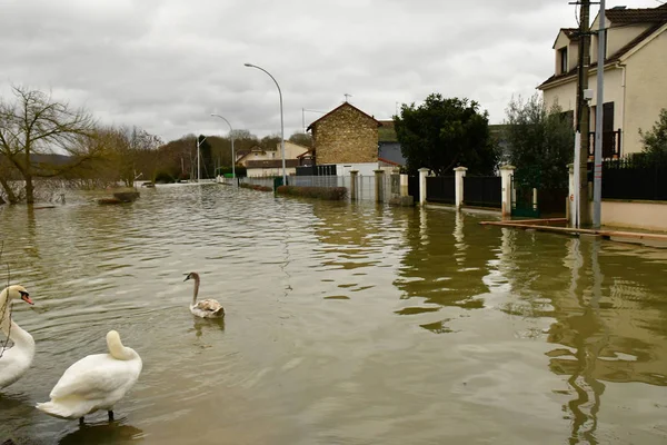 Les Mureaux France January 2018 Rise Water Level Seine River — Stock Photo, Image