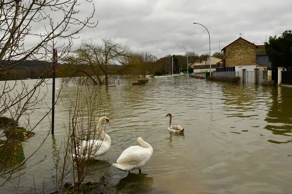 Les Mureaux France January 2018 Rise Water Level Seine River — Stock Photo, Image