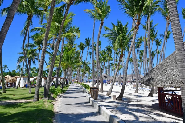 Πούντα Κάνα Δομινικανή Δημοκρατία Ιουνίου 2017 Παραλία — Φωτογραφία Αρχείου