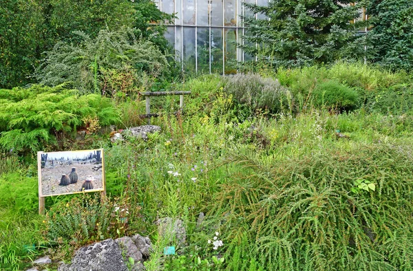 Estrasburgo, Francia - 24 de julio de 2016: jardín botánico universitario — Foto de Stock