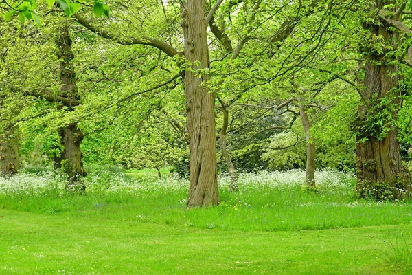 London; Kew, England - 5 maj 2019: Kew Gardens — Stockfoto