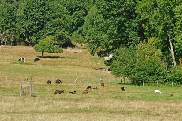 Jouy le moutier; Frankreich - 4. September 2019: ecancourt farm — Stockfoto