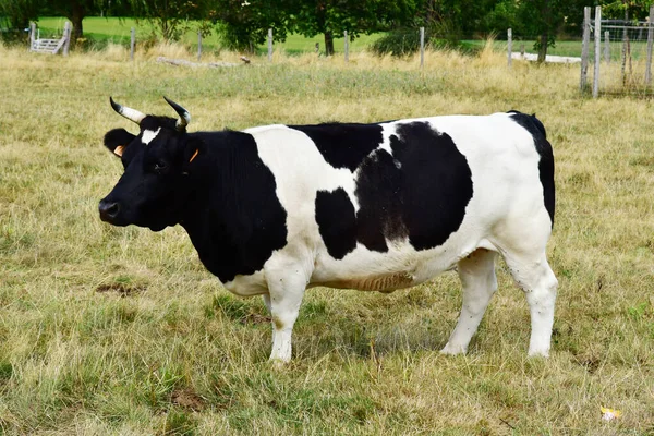 Jouy le Moutier; França - 4 de setembro de 2019: Ecancourt Farm — Fotografia de Stock